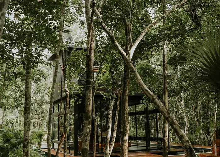 K Naj Community Tulum *